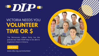 volunteer with the DLP